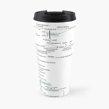 Биохимия пути гликолиза, биохимические путешествия, кофейная кружка, чашка, чашка кофе