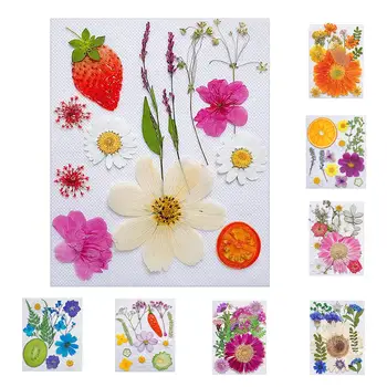 Сухоцветы из смолы Натуральные Фрукты Прессованные цветы Для наполнения чехлов для телефонов эпоксидной смолой Изготовление подвесных украшений Дизайн ногтей